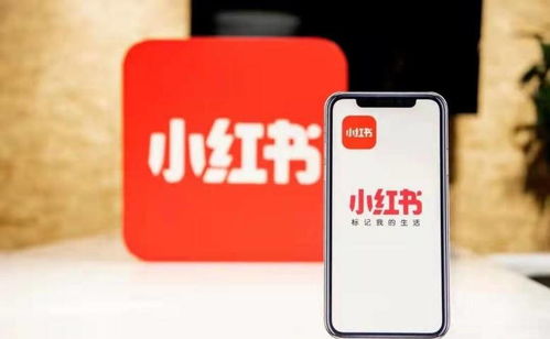 杭州噫融網(wǎng)絡(luò) 以專業(yè)運(yùn)營驅(qū)動(dòng)小紅書種草推廣，助力計(jì)算機(jī)軟硬件品牌搶占市場先機(jī)